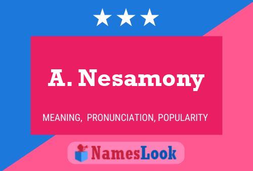 ملصق اسم A. Nesamony