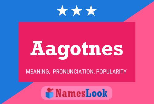 ملصق اسم Aagotnes