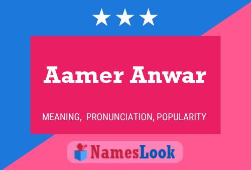 ملصق اسم Aamer Anwar