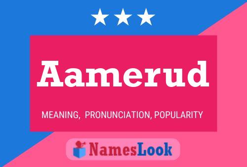 ملصق اسم Aamerud