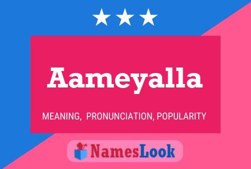 ملصق اسم Aameyalla