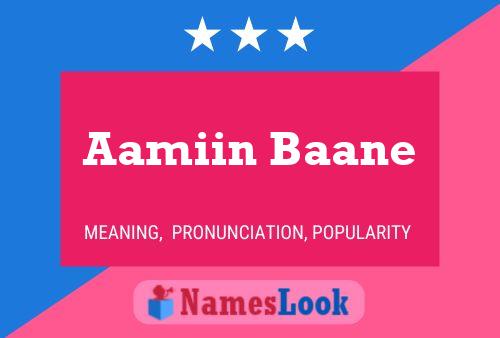 ملصق اسم Aamiin Baane