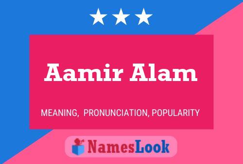 ملصق اسم Aamir Alam