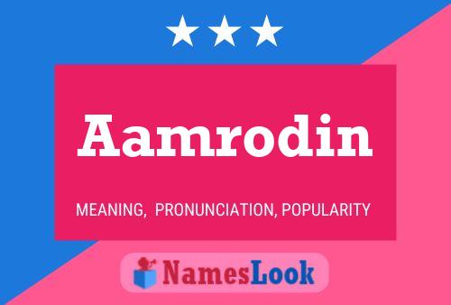 ملصق اسم Aamrodin