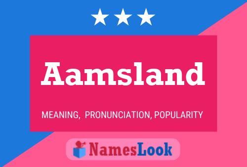 ملصق اسم Aamsland