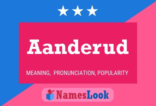 ملصق اسم Aanderud