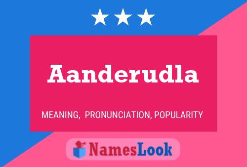 ملصق اسم Aanderudla