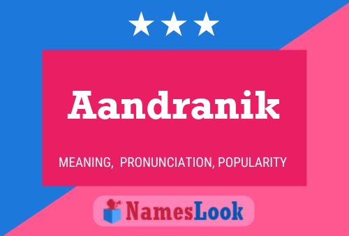 ملصق اسم Aandranik