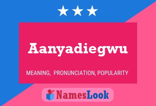 ملصق اسم Aanyadiegwu