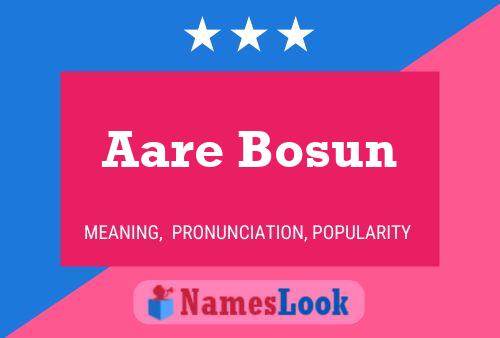 ملصق اسم Aare Bosun