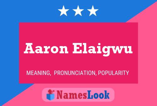 ملصق اسم Aaron Elaigwu