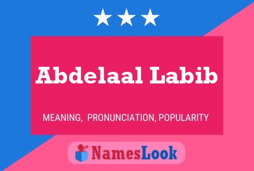 ملصق اسم Abdelaal Labib