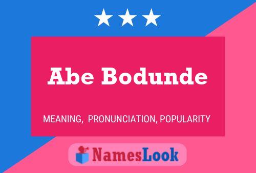 ملصق اسم Abe Bodunde