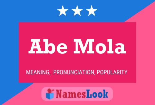 ملصق اسم Abe Mola