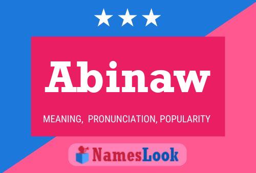 ملصق اسم Abinaw