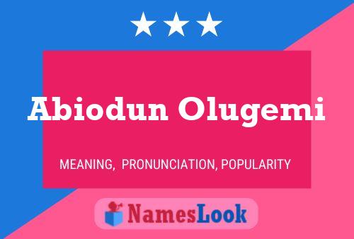 ملصق اسم Abiodun Olugemi