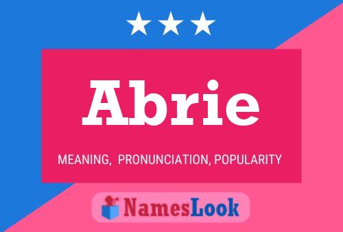 ملصق اسم Abrie