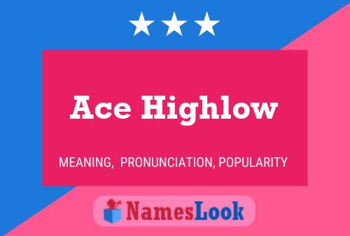 ملصق اسم Ace Highlow