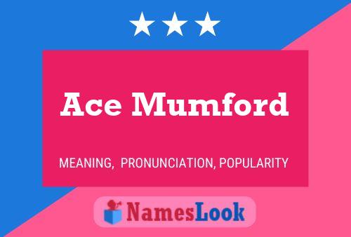 ملصق اسم Ace Mumford