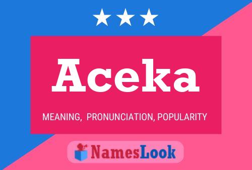 ملصق اسم Aceka