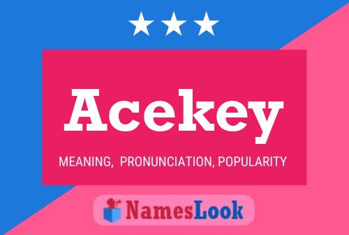 ملصق اسم Acekey