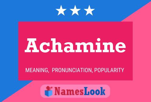 ملصق اسم Achamine