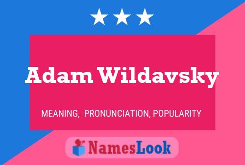 ملصق اسم Adam Wildavsky