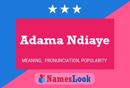 ملصق اسم Adama Ndiaye