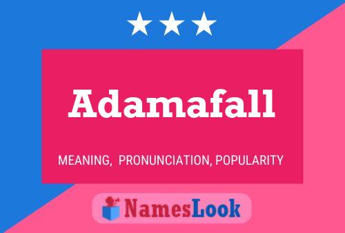 ملصق اسم Adamafall