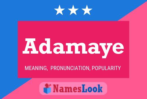 ملصق اسم Adamaye