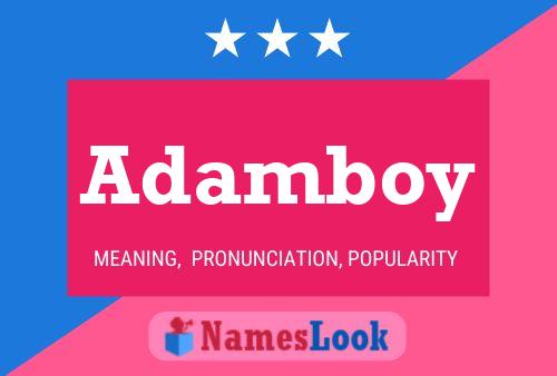 ملصق اسم Adamboy