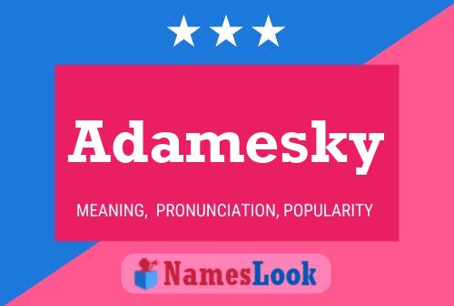 ملصق اسم Adamesky