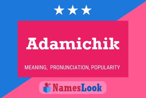 ملصق اسم Adamichik