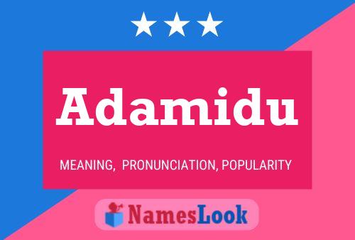 ملصق اسم Adamidu