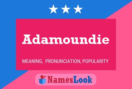 ملصق اسم Adamoundie