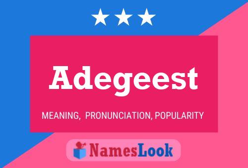 ملصق اسم Adegeest