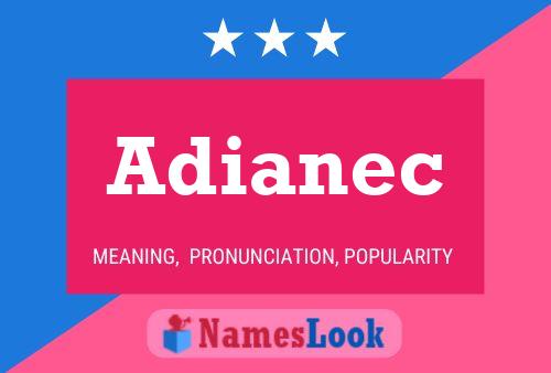 ملصق اسم Adianec