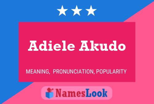 ملصق اسم Adiele Akudo