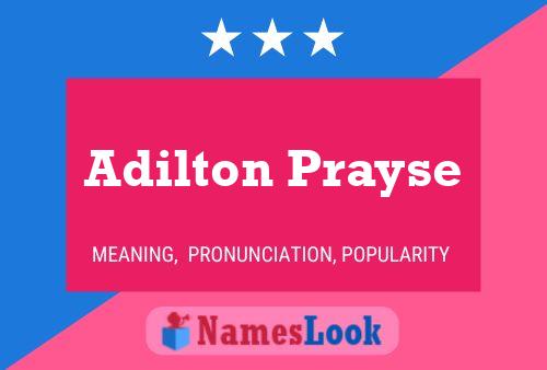 ملصق اسم Adilton Prayse