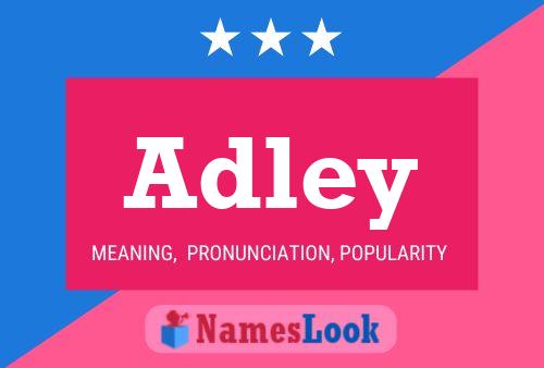 ملصق اسم Adley