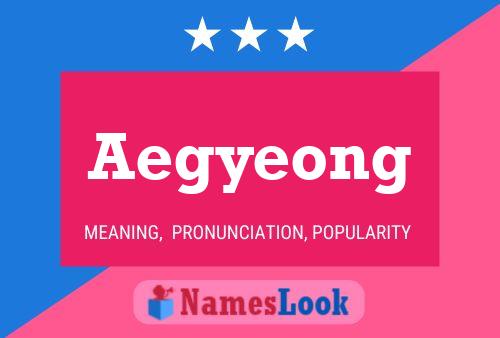 ملصق اسم Aegyeong