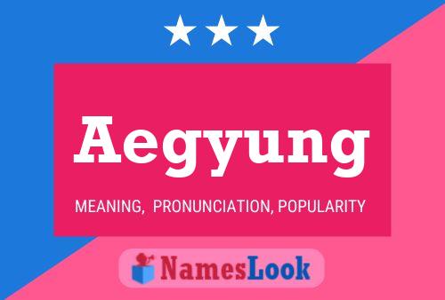 ملصق اسم Aegyung