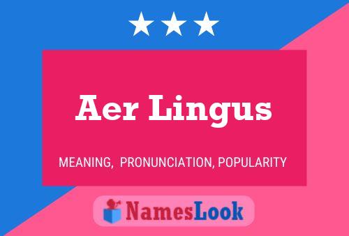 ملصق اسم Aer Lingus