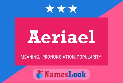 ملصق اسم Aeriael