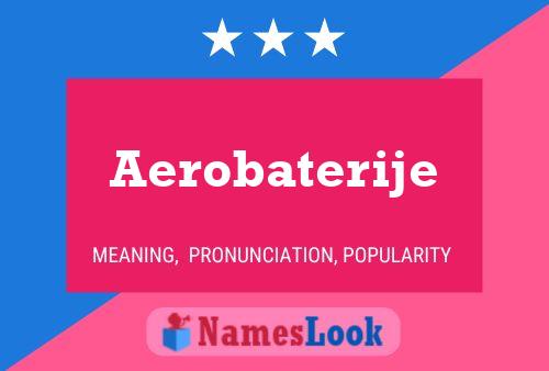 ملصق اسم Aerobaterije