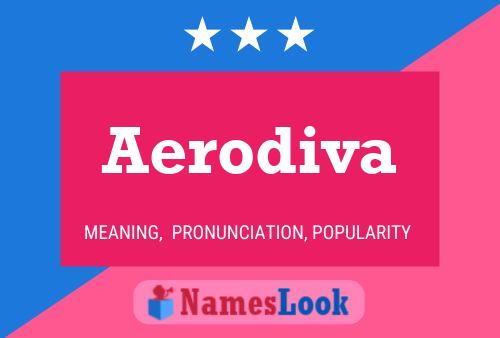 ملصق اسم Aerodiva