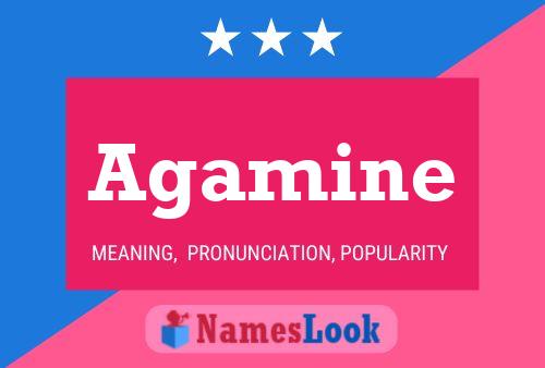 ملصق اسم Agamine