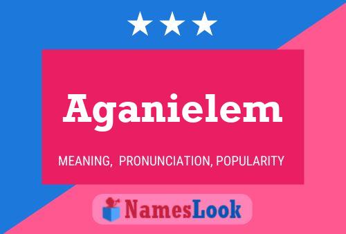 ملصق اسم Aganielem