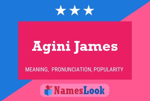 ملصق اسم Agini James