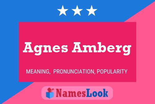 ملصق اسم Agnes Amberg